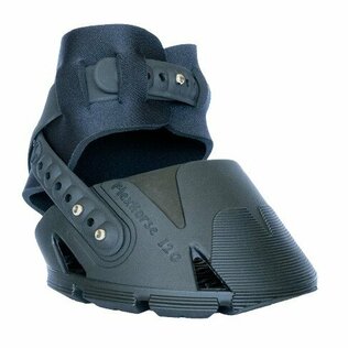 Pleasure Riding & Performance