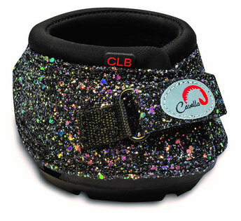 Shetland & small ponies