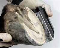 EVO RADIUS GRATER (ROUGH RR-2)