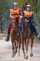 ScootBoot Classic (pair)