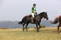 ScootBoot Classic (pair)