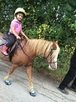 ScootBoot Classic (pair)