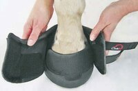 Cavallo Simple (pair)