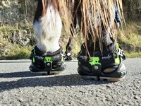 EXPLORA MAGIC (pair)