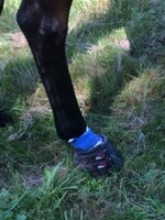 Cavallo Simple (pair)