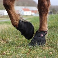 EQUINE FUSION RECOVERY 2.0