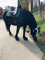 Cavallo Big Foot Boot (BFB)