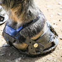 SB Enduro / TheraRide Strap Extender