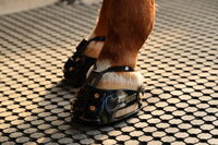 ScootBoot Enduro Adjust (pair)