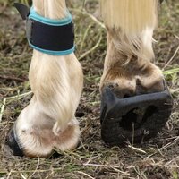 ScootBoot Skin Glue-On (pair)