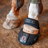 EQUINE FUSION TRAILBLAZER