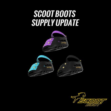 SCOOT BOOTS TEST / RENT