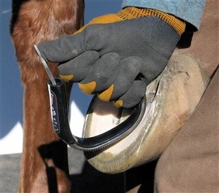 EVO BAR &amp; SOLE RASP (BLACK SR-2)