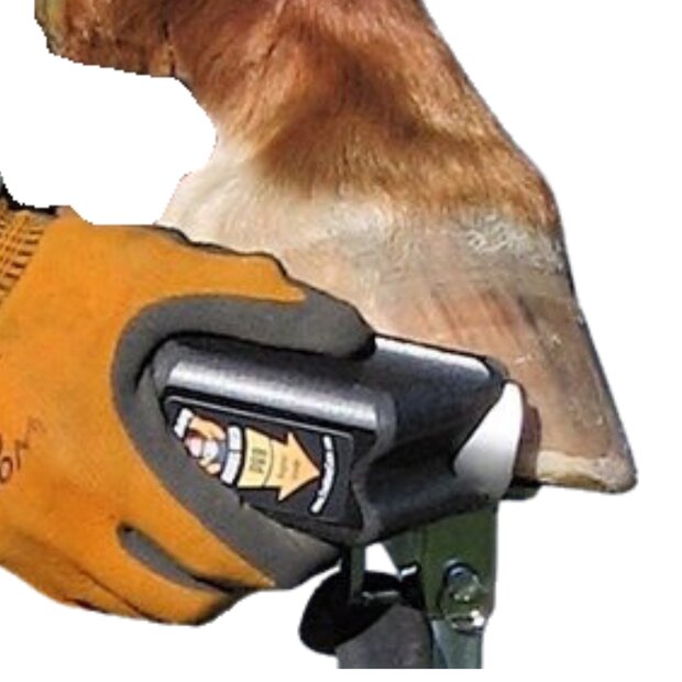 EVO RADIUS GRATER (ROUGH RR-2)