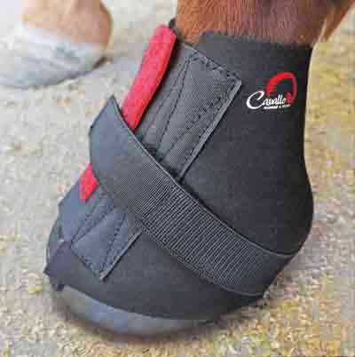 CAVALLO WRAP BANDAGE