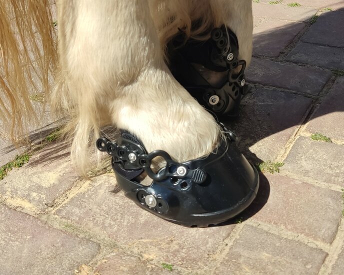 EVO BOOT EquiSchoen HoofBoots and Hoofcare