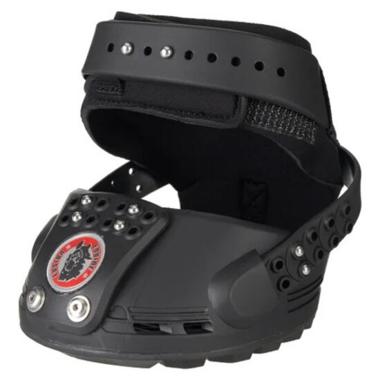  EQUINE FUSION TRAILBLAZER TEST / RENT