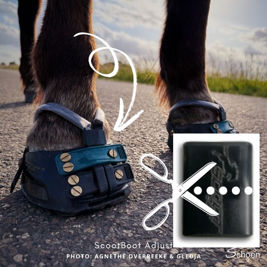 ScootBoot Mudstrap Collar Pack