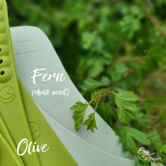 Fern &amp; Olive