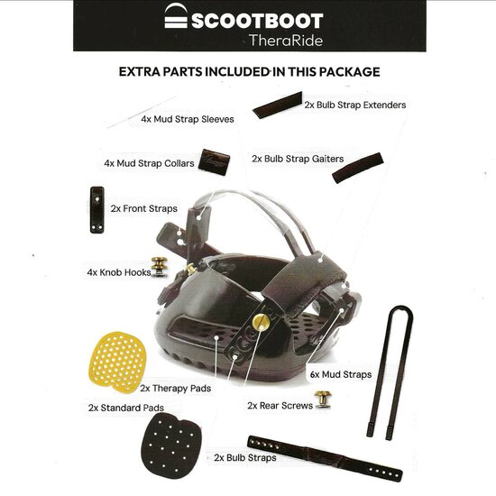 SCOOT THERARIDE - TEST / RENT