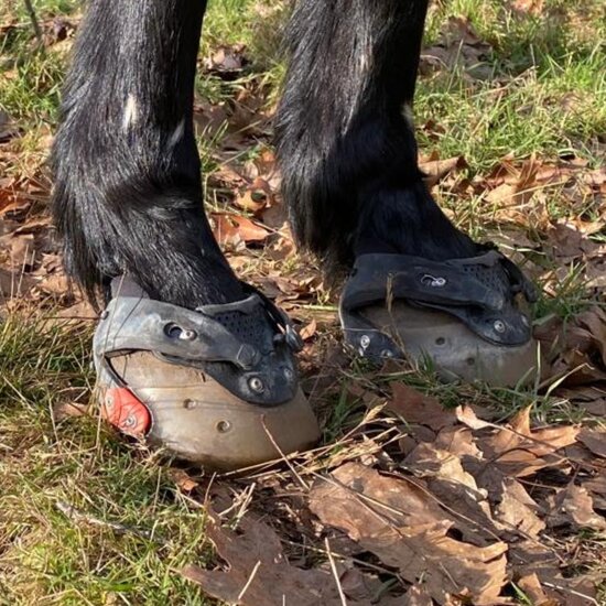 FLOATING BOOTS TEST / RENT