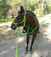 CAVALLO TREK GREEN