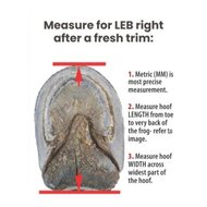 Cavallo LEB - Long Ear Boot - Black