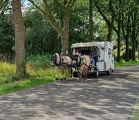 Family Martens (BE & NL)