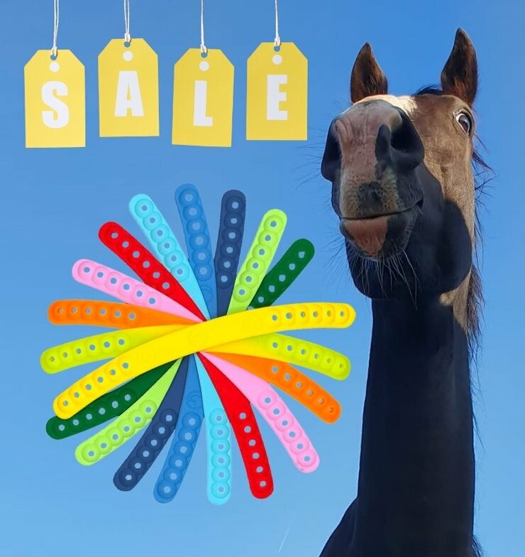 Special Offers & Sale